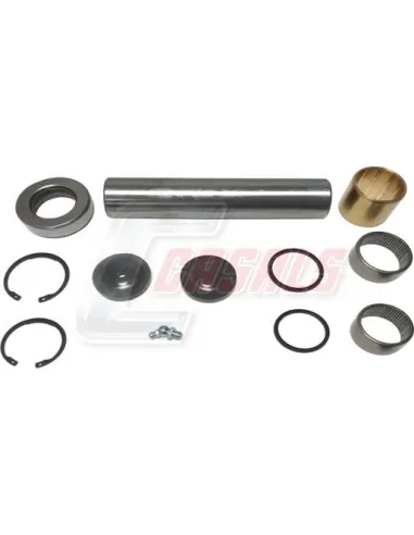 Kit De Reparación De Mangueta MAN RENAULT...
