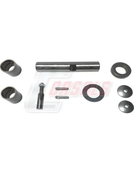 Kit De Reparación De Mangueta MAN NISSAN CASALS 69209