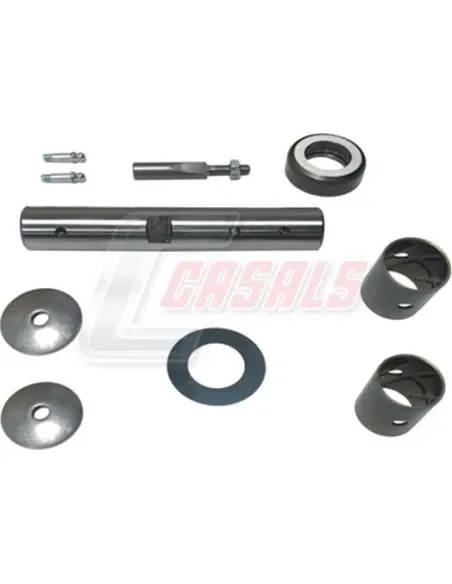 Kit De Reparación De Mangueta MAN NISSAN CASALS 69211