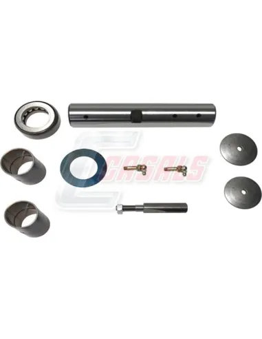 Kit De Reparación De Mangueta MAN NISSAN CASALS...