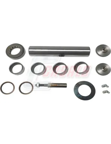 Kit De Reparación De Mangueta MAN NISSAN CASALS...