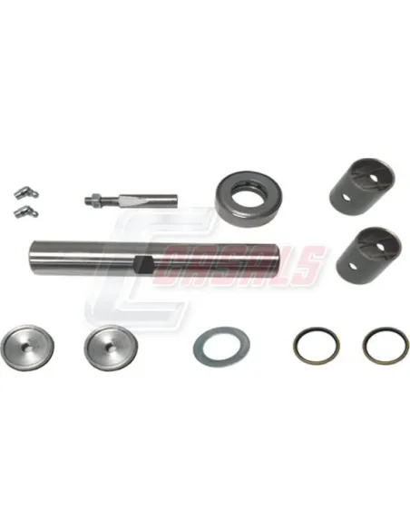 Kit De Reparación De Mangueta MAN NISSAN CASALS 69220