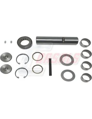 Kit De Reparación De Mangueta MAN NISSAN CASALS...