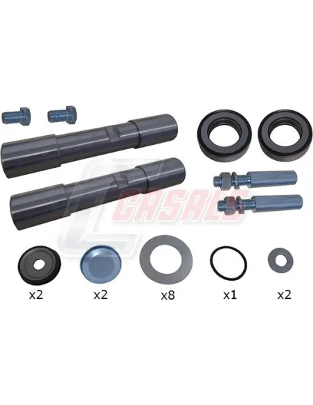 Kit de reparación de mangueta Isuzu Serie N (2 Ruedas)