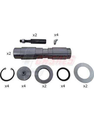 Kit de reparación de mangueta Nissan NT500 2 Ruedas