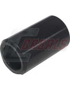 CASALS6981