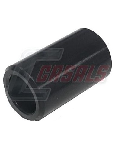 CASALS6981