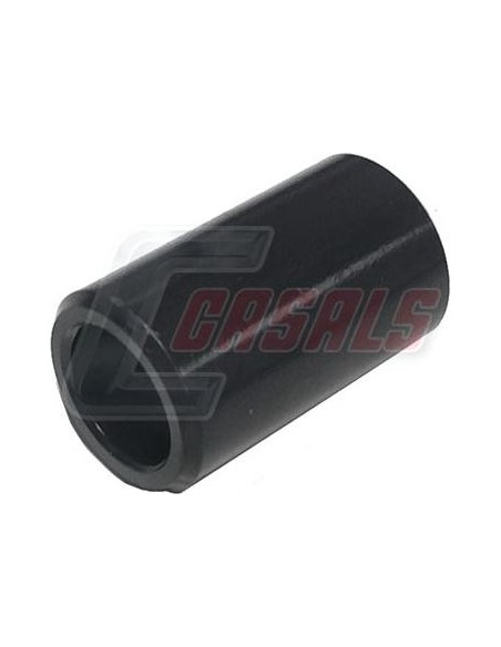 CASALS6981