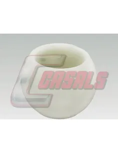CASALS7205