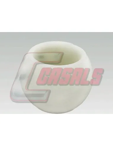 CASALS7205
