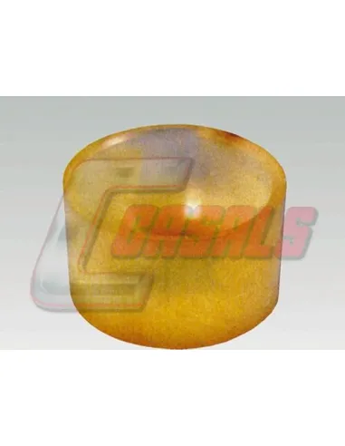 CASALS7209
