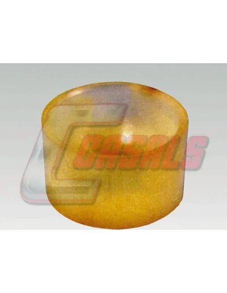 CASALS7209