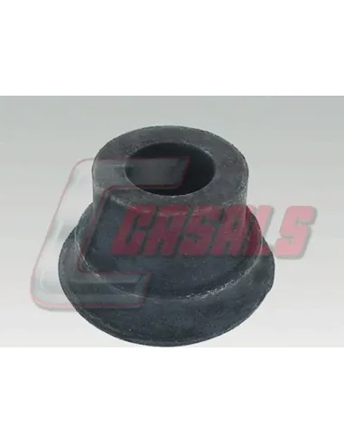 CASALS7243