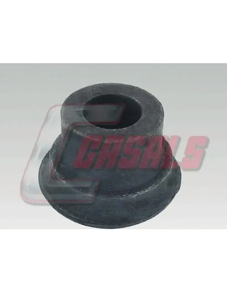 CASALS7243