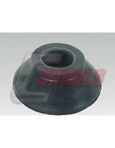 CASALS7244
