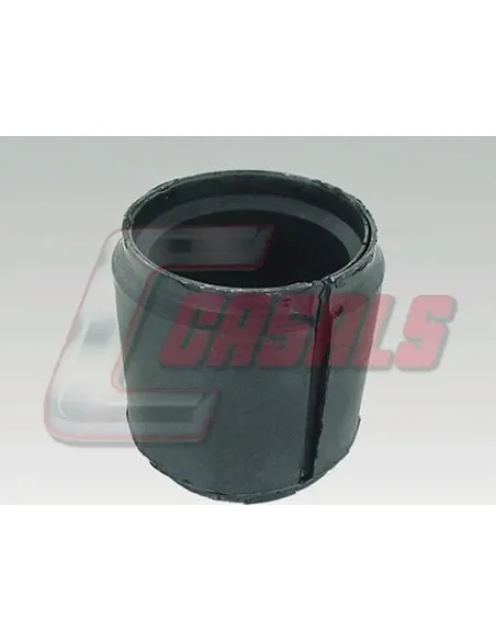 CASALS7249