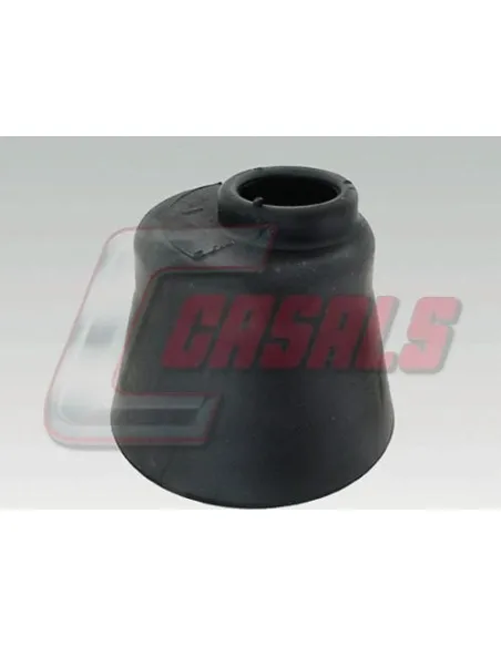 CASALS7272