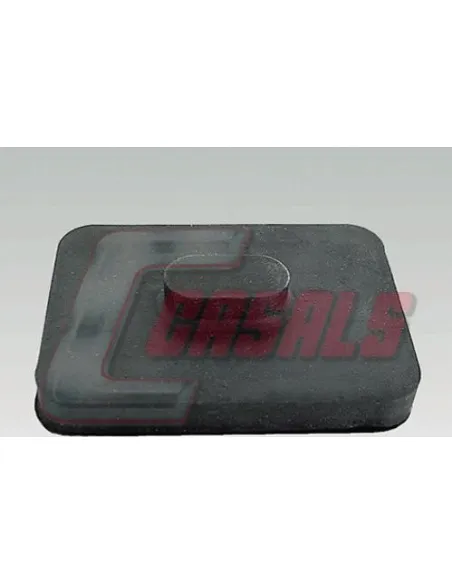CASALS7288