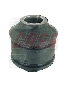 CASALS7320