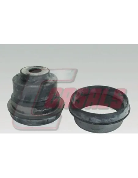 CASALS7349