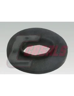 CASALS7397