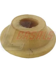 CASALS7398