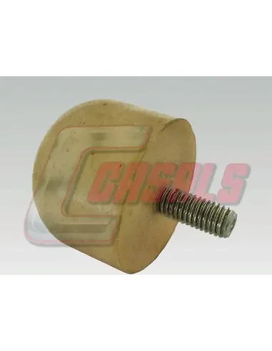 CASALS7399