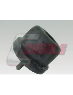 CASALS7407