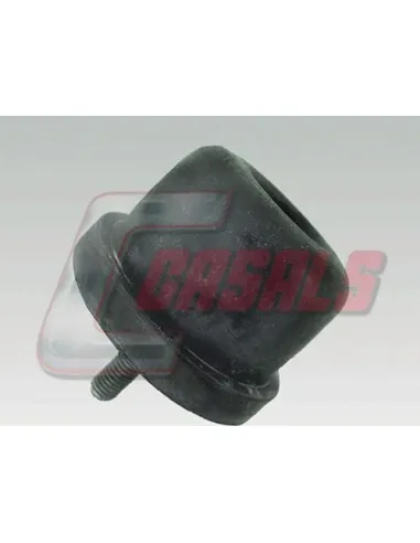 CASALS7407
