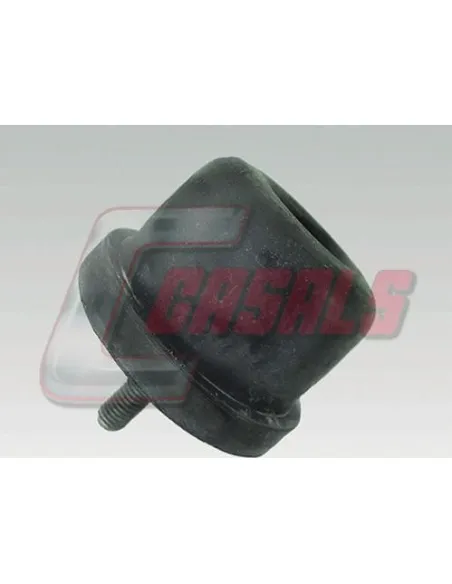CASALS7407