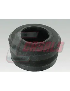 CASALS7409