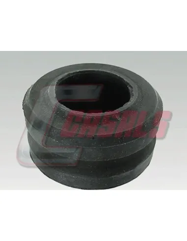 CASALS7409