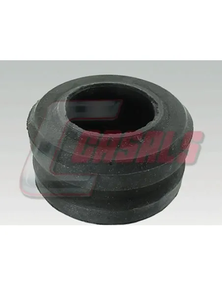 CASALS7409