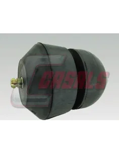 CASALS7476