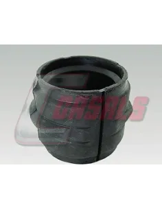 CASALS7482