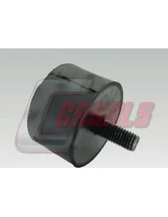 CASALS7531