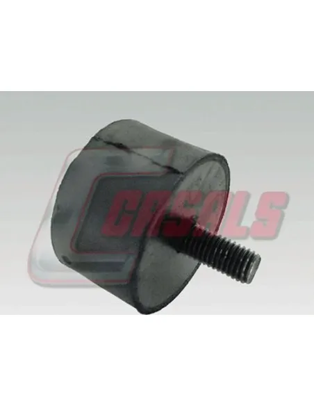 CASALS7531