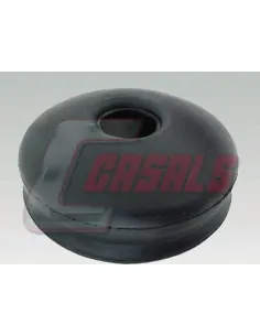 CASALS7543