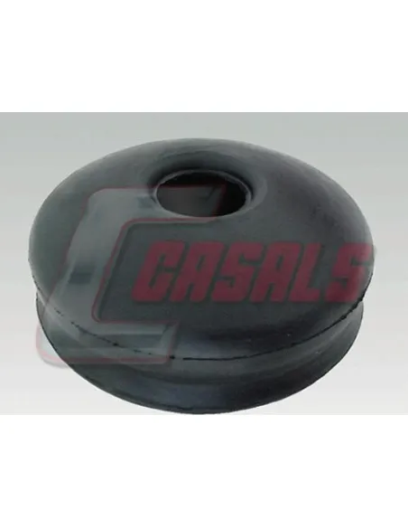 CASALS7543