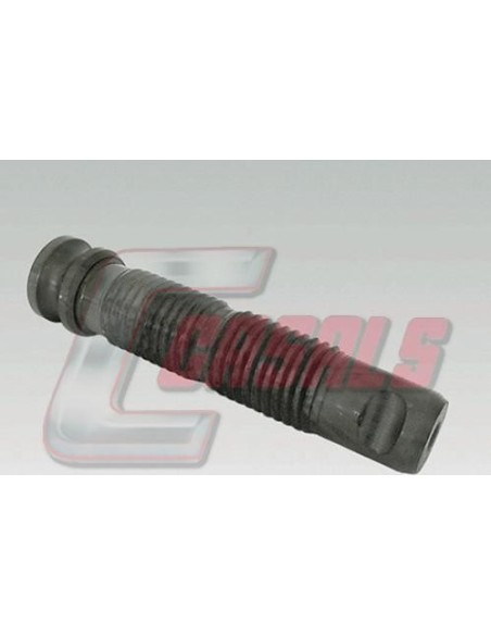 CASALS7564