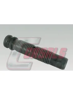 CASALS7568
