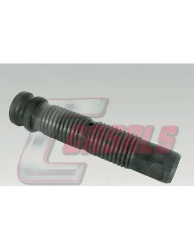 CASALS7568