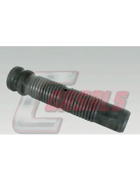 CASALS7568