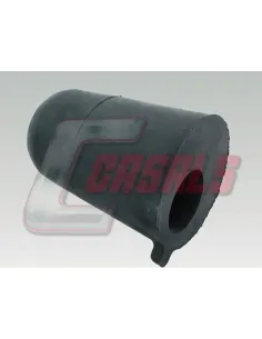 CASALS7580