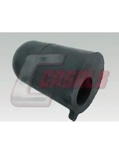 CASALS7581
