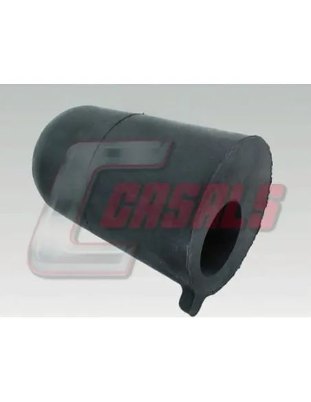 CASALS7581