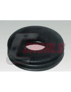 CASALS7587