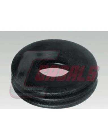 CASALS7587