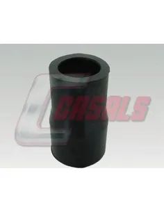 CASALS7638