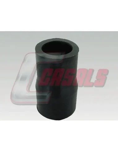 CASALS7638
